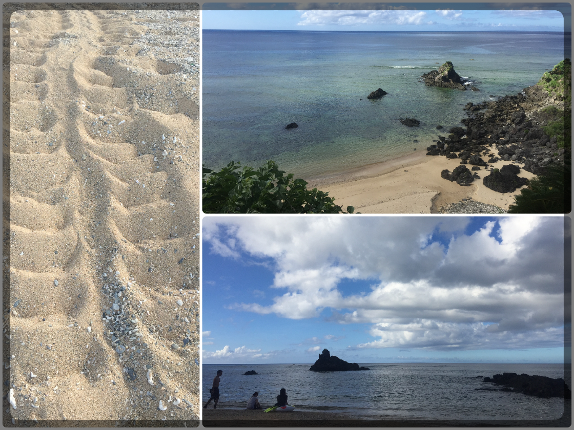 沖繩秘密海灘組圖